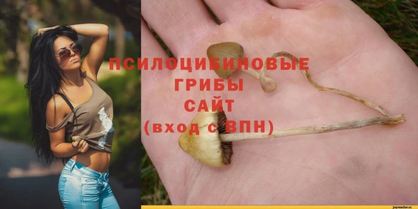 прущие крисы Богородицк