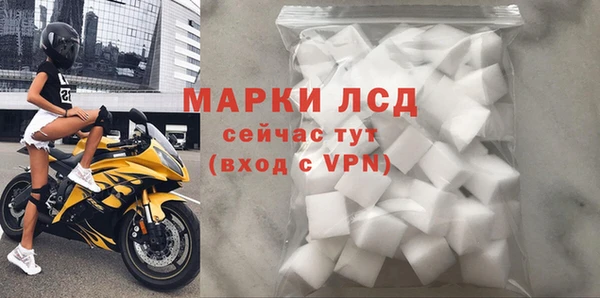 индика Верхний Тагил