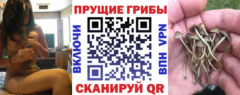 OMG онион  Пойковский  Галлюциногенные грибы ЛСД  дарк нет формула  продажа наркотиков 